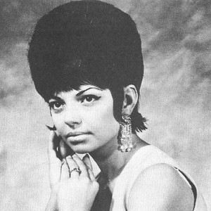 Diane merritt