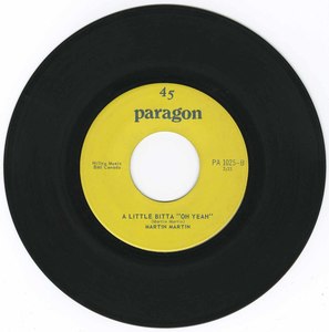 45 martin martin just a little bit of oh yeah paragon pa 1025