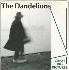 45 dandelions great big pictures