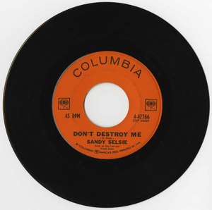 45 sandy selsie dont destroy me