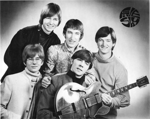 The five shy 002