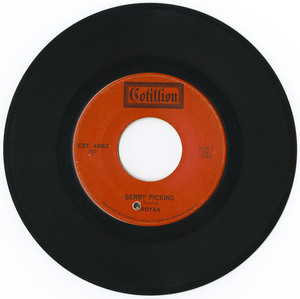 45 troyka bery picking