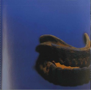 Cd change of heart steelteeth insert 01