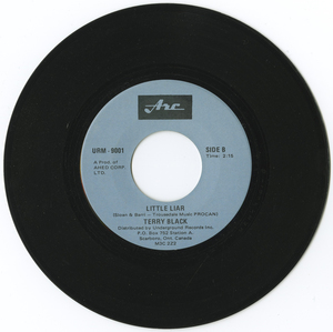 45 terry black little liar %28split with stitch in time%29