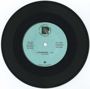 45 anaconda queen of the night vinyl 02