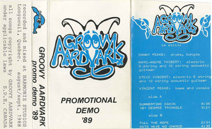 Cassette groovy aardvark promo demo front flat