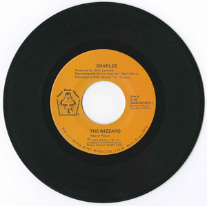 45 charlee the wizzard %28mind dust mdm 451001 1%29