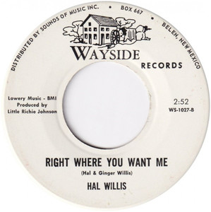 Hal willis everybodys got troubles 1968 2