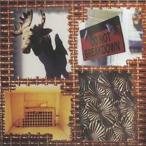 Cd fire engine red   1530 back