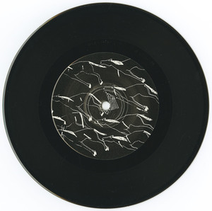 45 kittens   calico vinyl 02