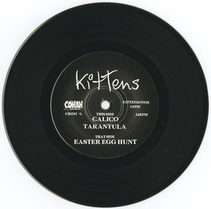 45 kittens   calico vinyl 01