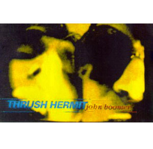 Thrush hermit   john boomer squared