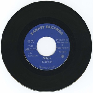 45 aircuts radioactivity vinyl 01