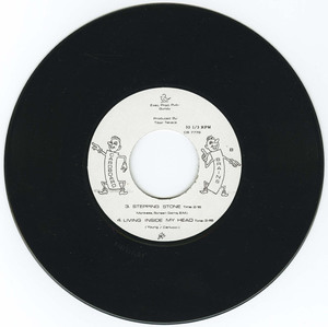 45 cardboard brains the white ep vinyl 02