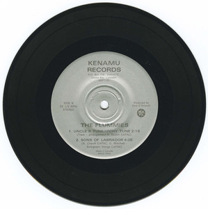 45 the flummies   four songs from labrador vinyl 02
