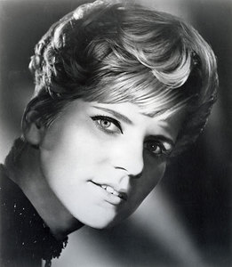 Lynn jones promo 7