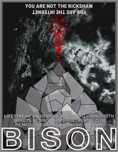 Bison %282%29