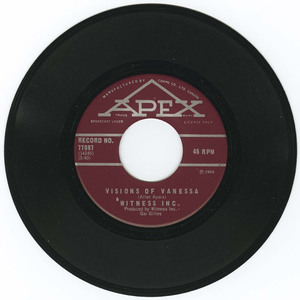 45 witness inc   visions of vanessa pic sleeve vinyl 01