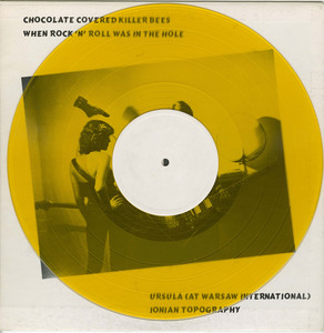 Interpol   st vinyl jacket back overlay
