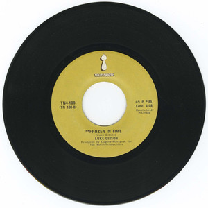 45 luke gibson   virginia bw frozen in time vinyl 02