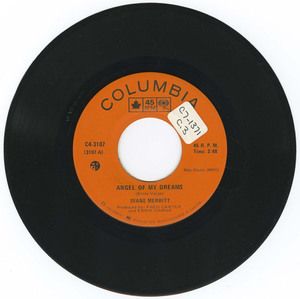 45 diane merritt angel of my dreams vinyl 01