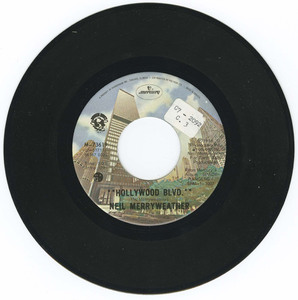 45 neil merryweather high altitude hide n seek vinyl 02