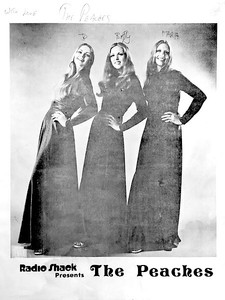 The peaches 4343343