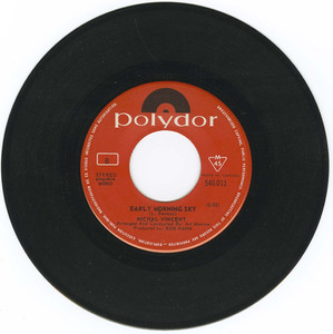 45 michael vincent   the lady in the picture bw early morning sky vinyl 02