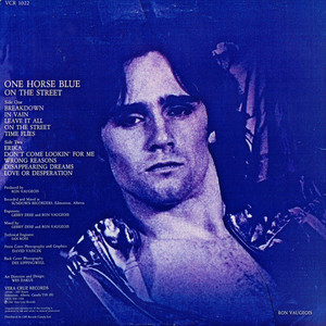 One horse blue   on the street %281%29