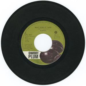 45 mantis   i dont ever want to get married vinyl 02