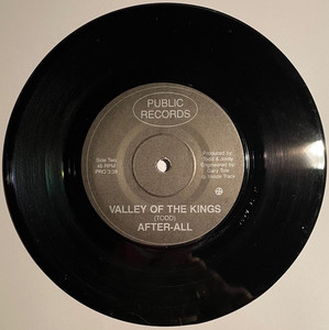 After all   sitting far away bw valley of the kings %281%29
