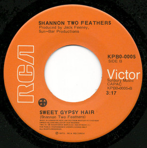 Shannon two feathers %e2%80%93 the prisoner %281%29