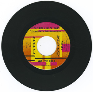 45 ugly ducklings   postman's fancy bw not for long vinyl 02