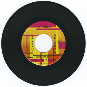 45 ugly ducklings   just in case you wonder bw that's just the thought i had in my mind vinyl 02