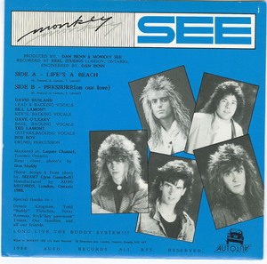 45 monkey see   life's a beach back