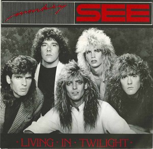 45 monkey see living in twilight pic sleeve front