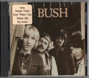 Bush   bush %282%29