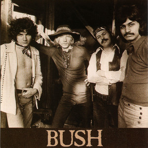 Bush   bush %284%29