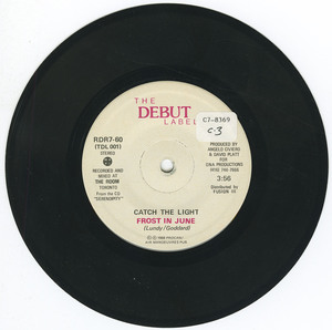 45 frost in june   catch the light vinyl 01