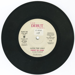 45 frost in june   catch the light vinyl 02