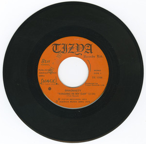 45 shagnasty   ringing in my ear bw all my teachers vinyl 01