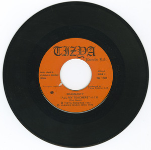 45 shagnasty   ringing in my ear bw all my teachers vinyl 02