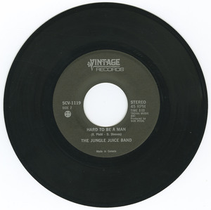 45 jungle juice band   dayblues bw hard to be a man vinyl 02