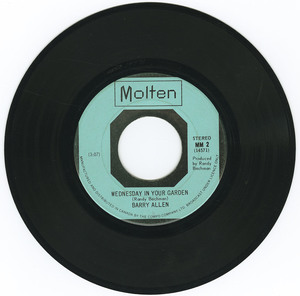 45 barry allen   wednesday in your garden vinyl 01