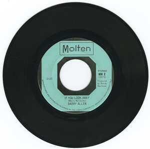 45 barry allen   wednesday in your garden vinyl 02