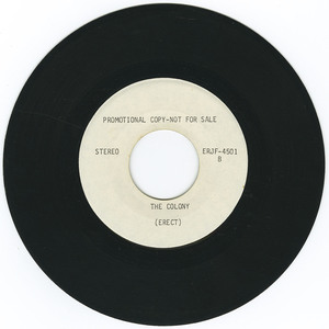 45 erect   we are police bw the colony vinyl 02
