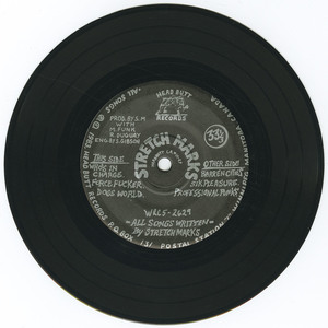 45 stretch marks   who's in charge vinyl 01