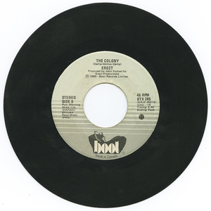 45 erect   we are police boot vinyl 02