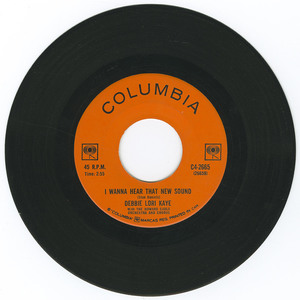 45 debbie lori kaye   you've got a flag   wave it bw i wanna hear that new sound vinyl 02