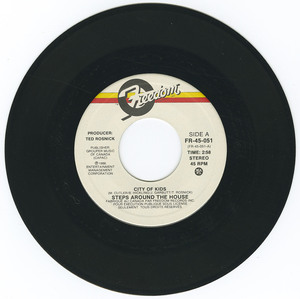 45 steps around the house   city of kids vinyl 02